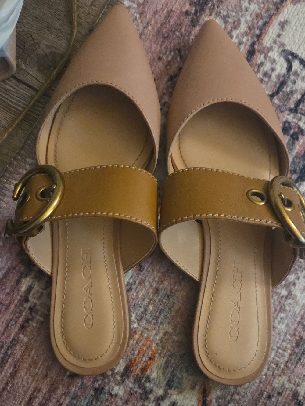 Coach Tan and Nude Pointed-Toe Slide Mules with Gold Buckle